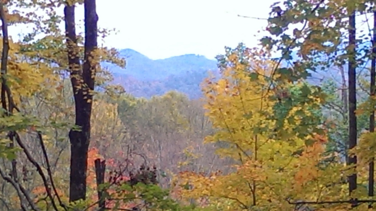 Photo of Outdoor in Zionville