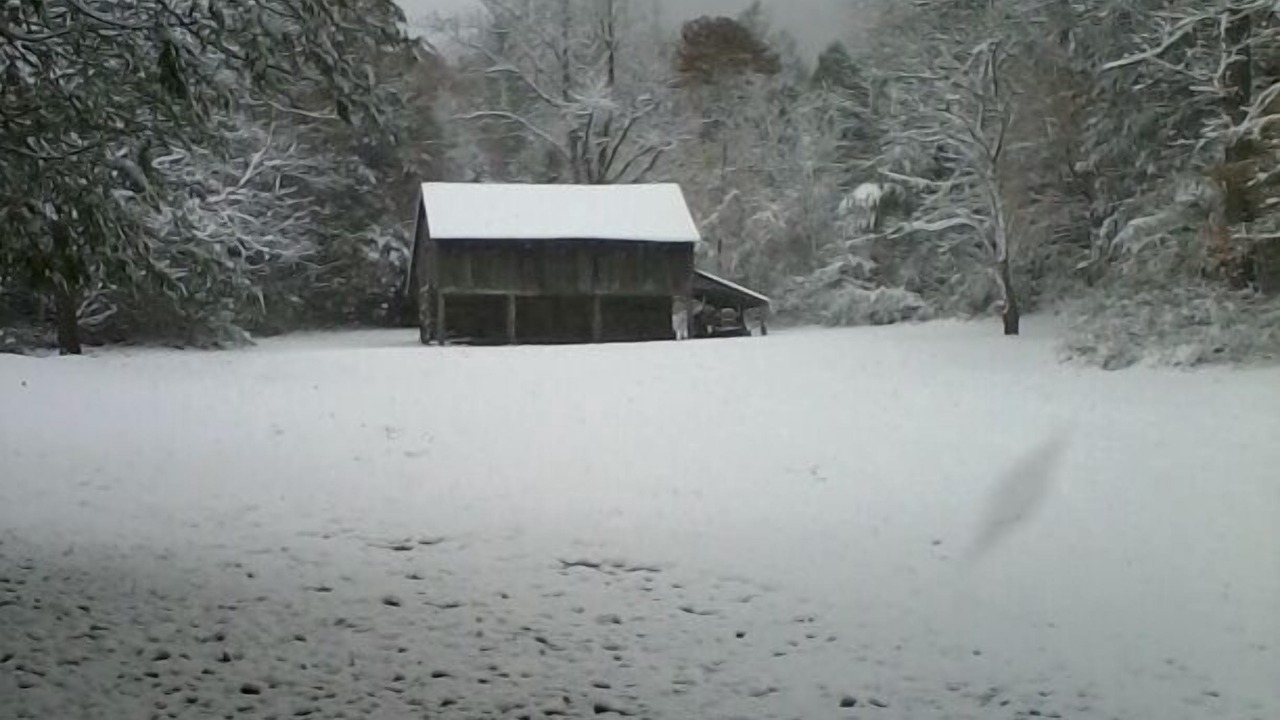 Photo of Others in Fairview