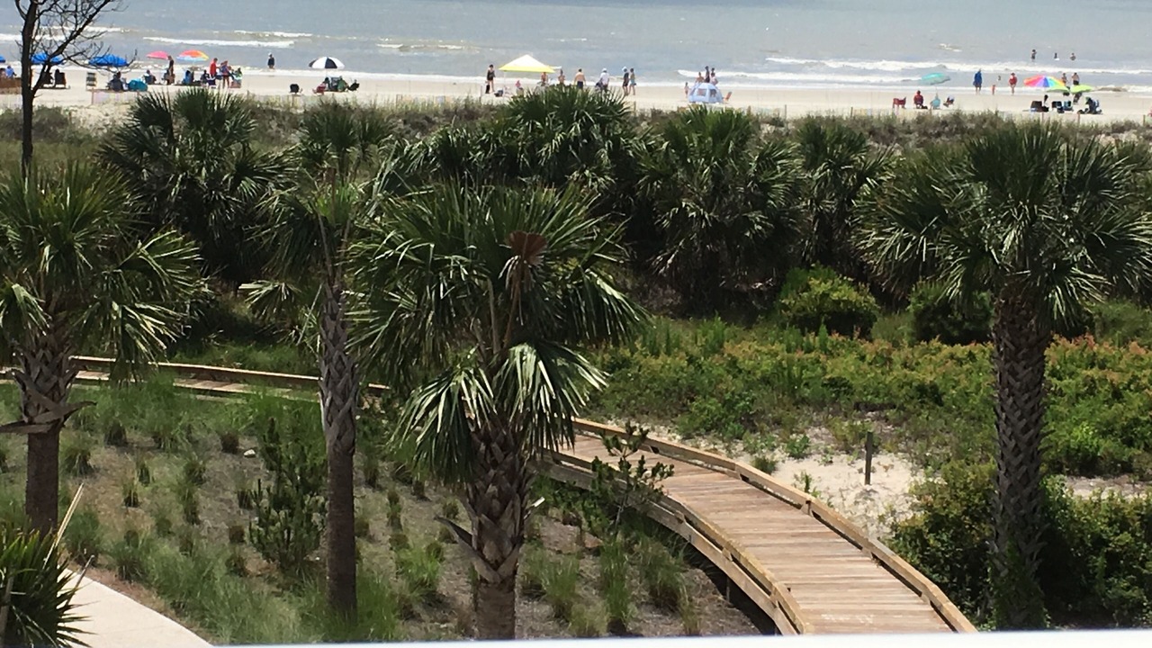 Photo of Others in Hilton Head Island