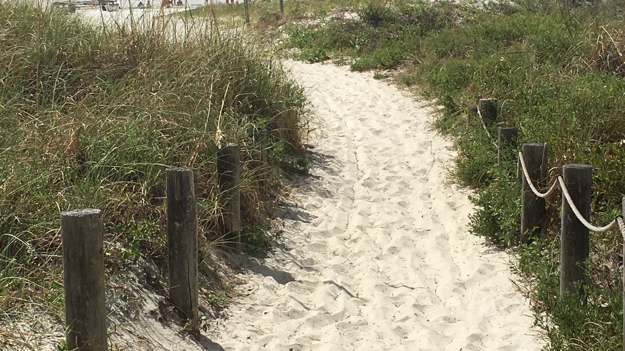 Photo of Others in Hilton Head Island