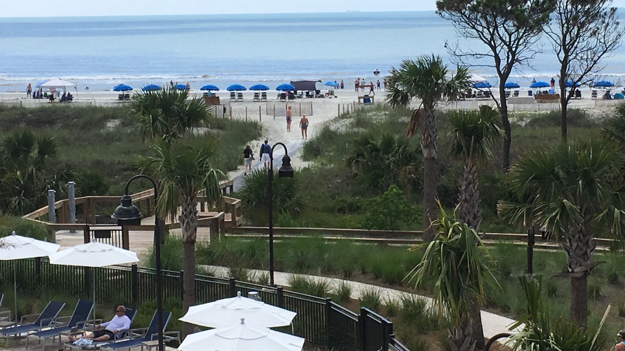 Photo of Others in Hilton Head Island