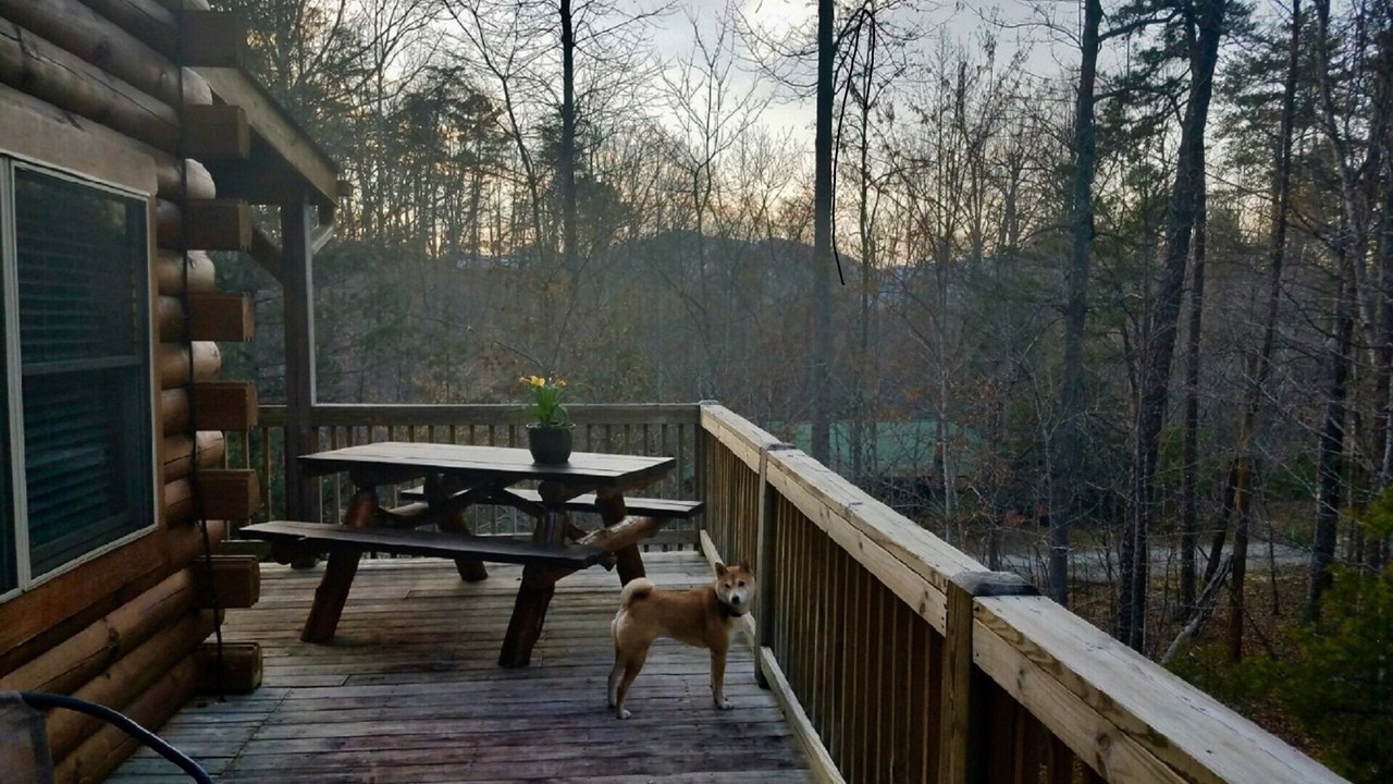 Photo of Others in Lake Lure