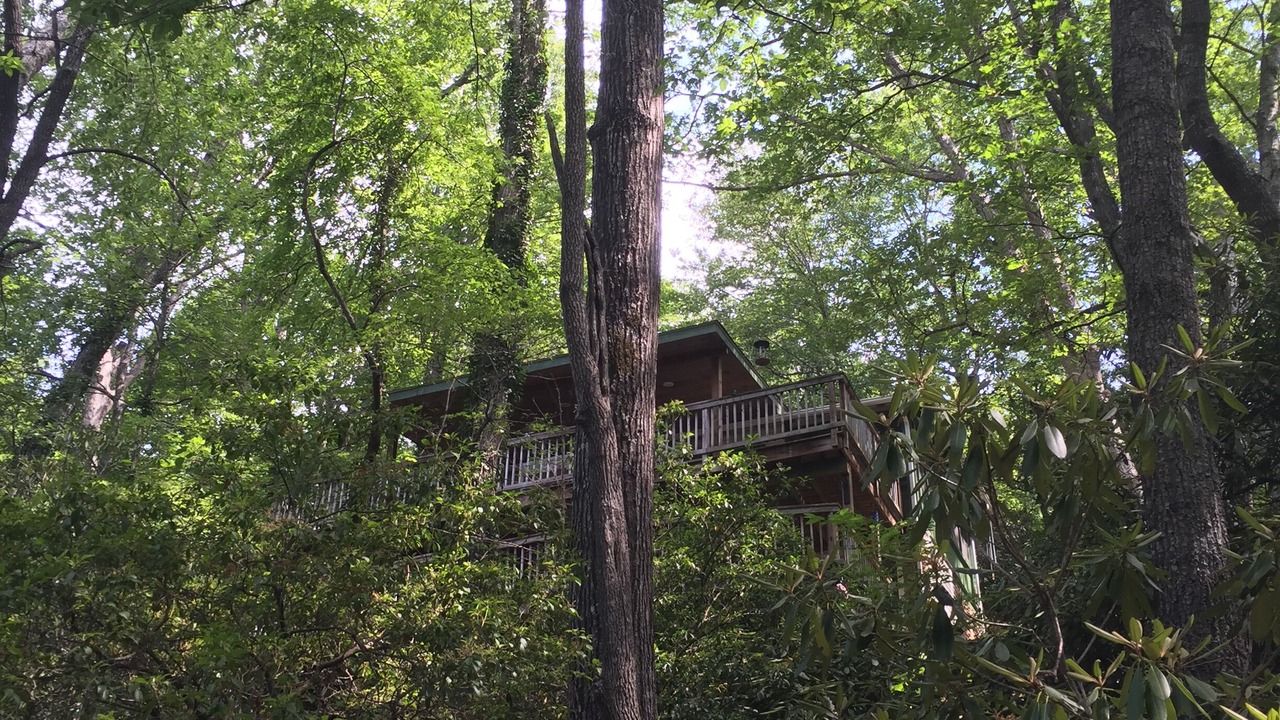 Photo of Others in Montreat