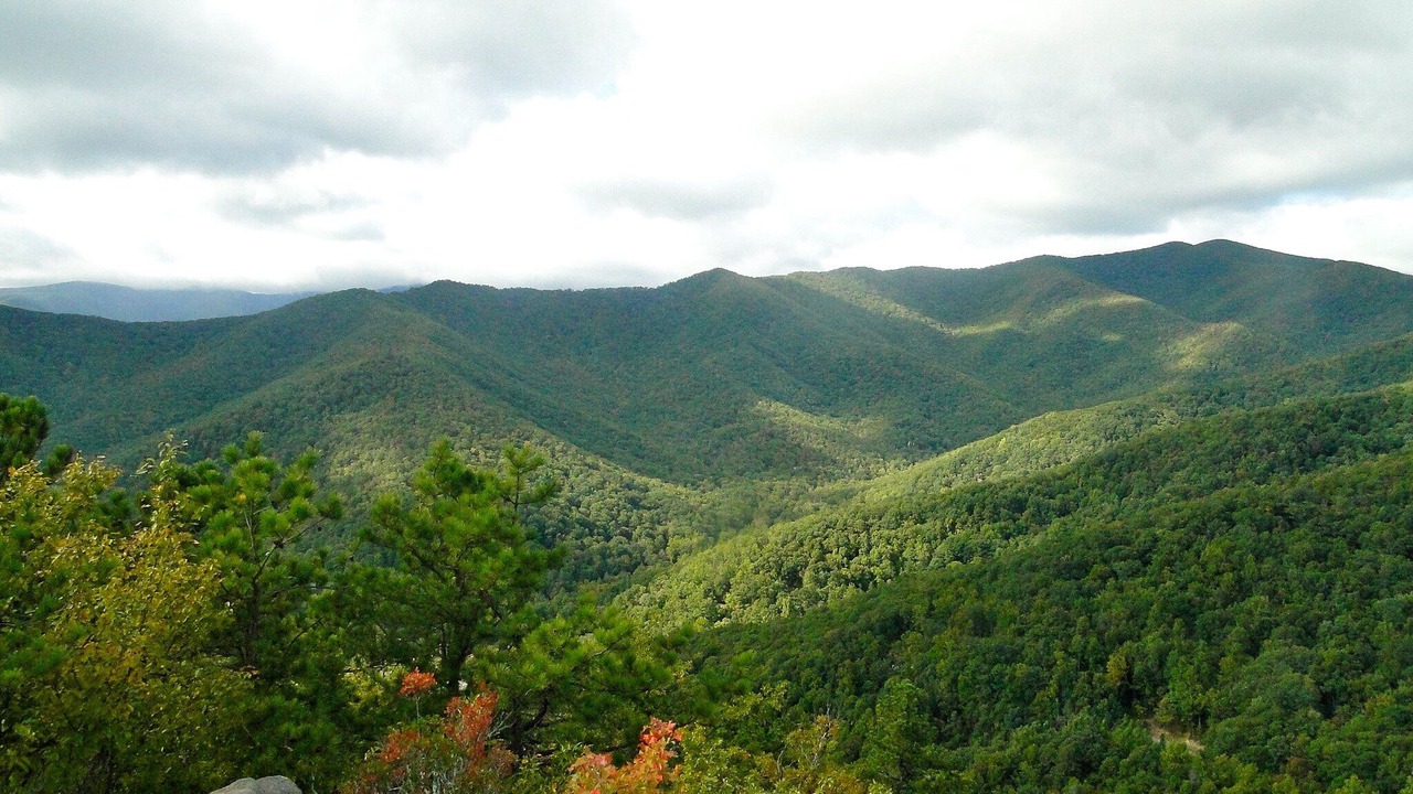 Photo of Others in Montreat