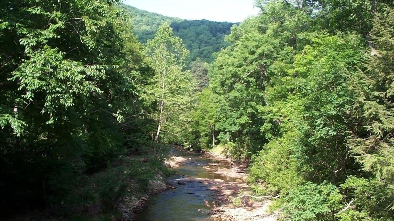 Photo of Others in Burnsville