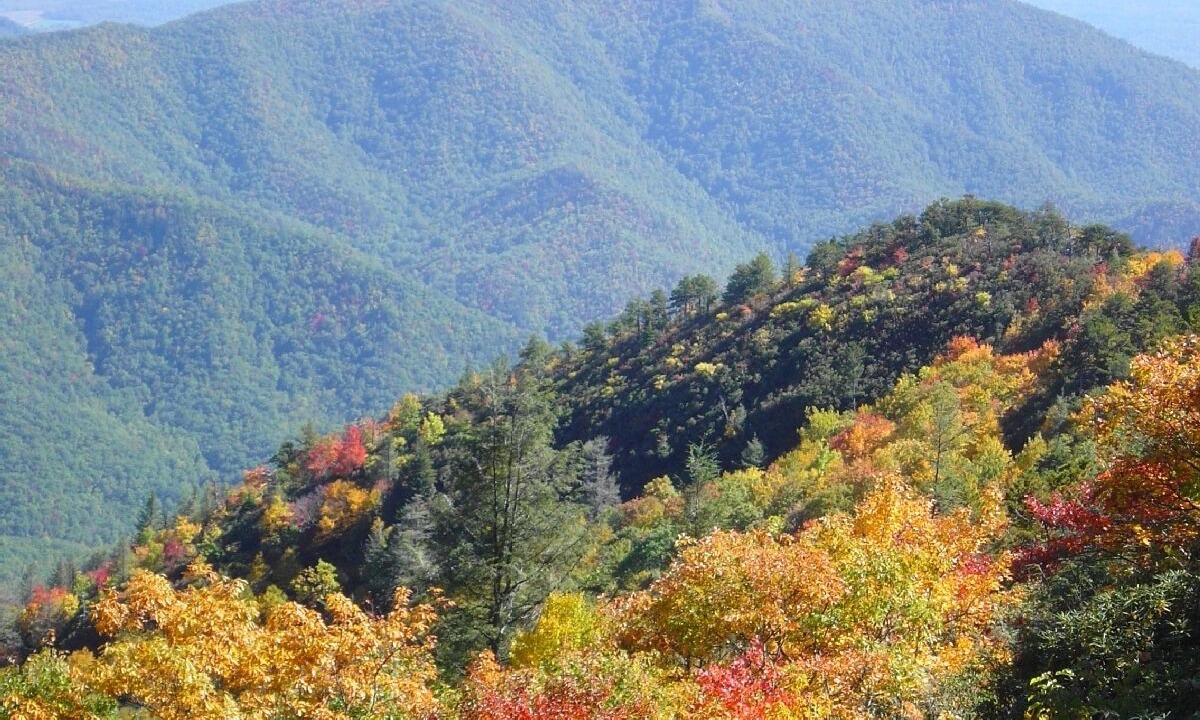 Photo of Others in Spruce Pine