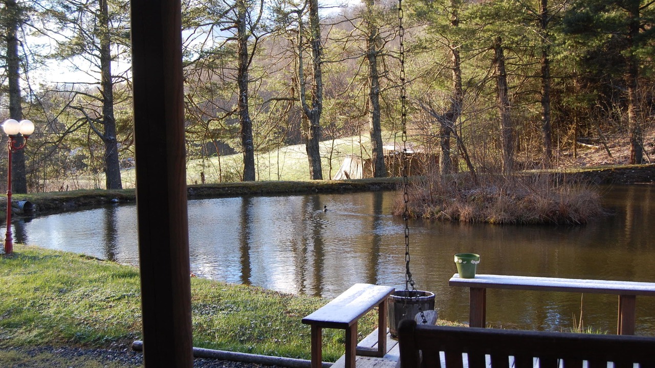 Photo of Outdoor in Spruce Pine