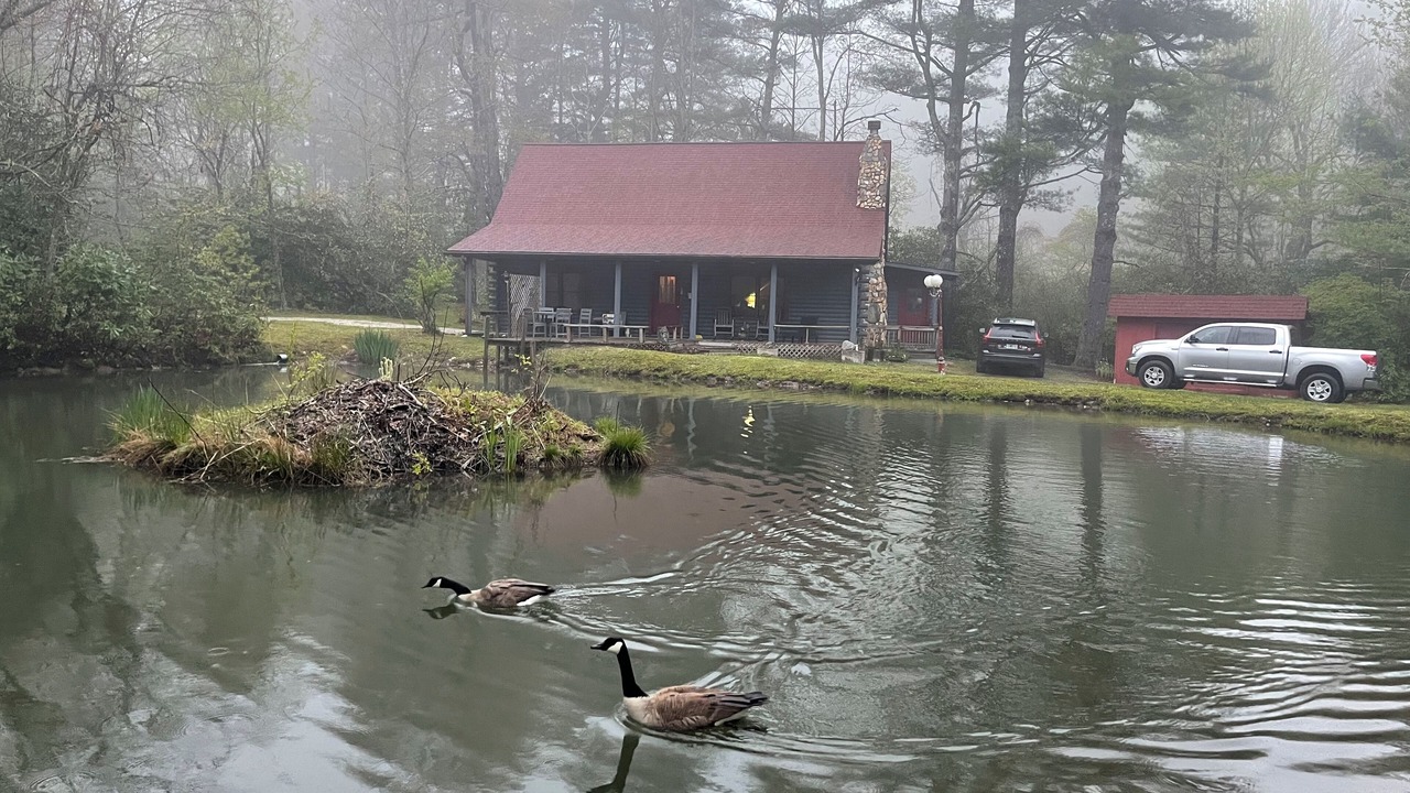 Photo of Outdoor in Spruce Pine