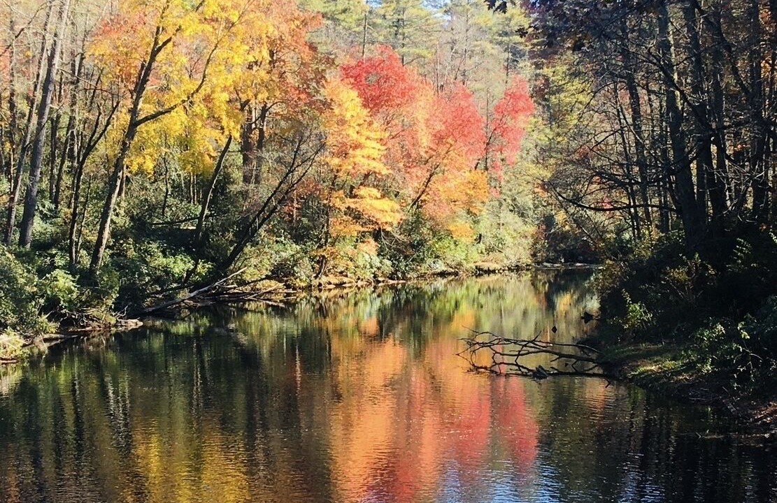 Photo of Outdoor in Spruce Pine