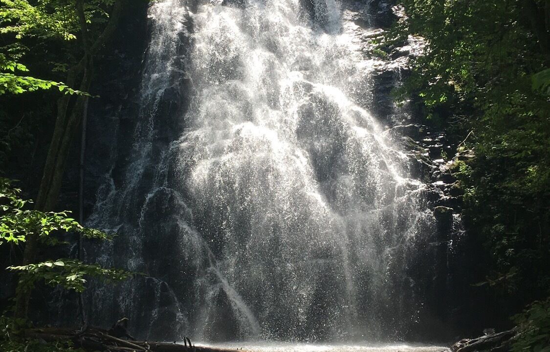 Photo of Others in Spruce Pine