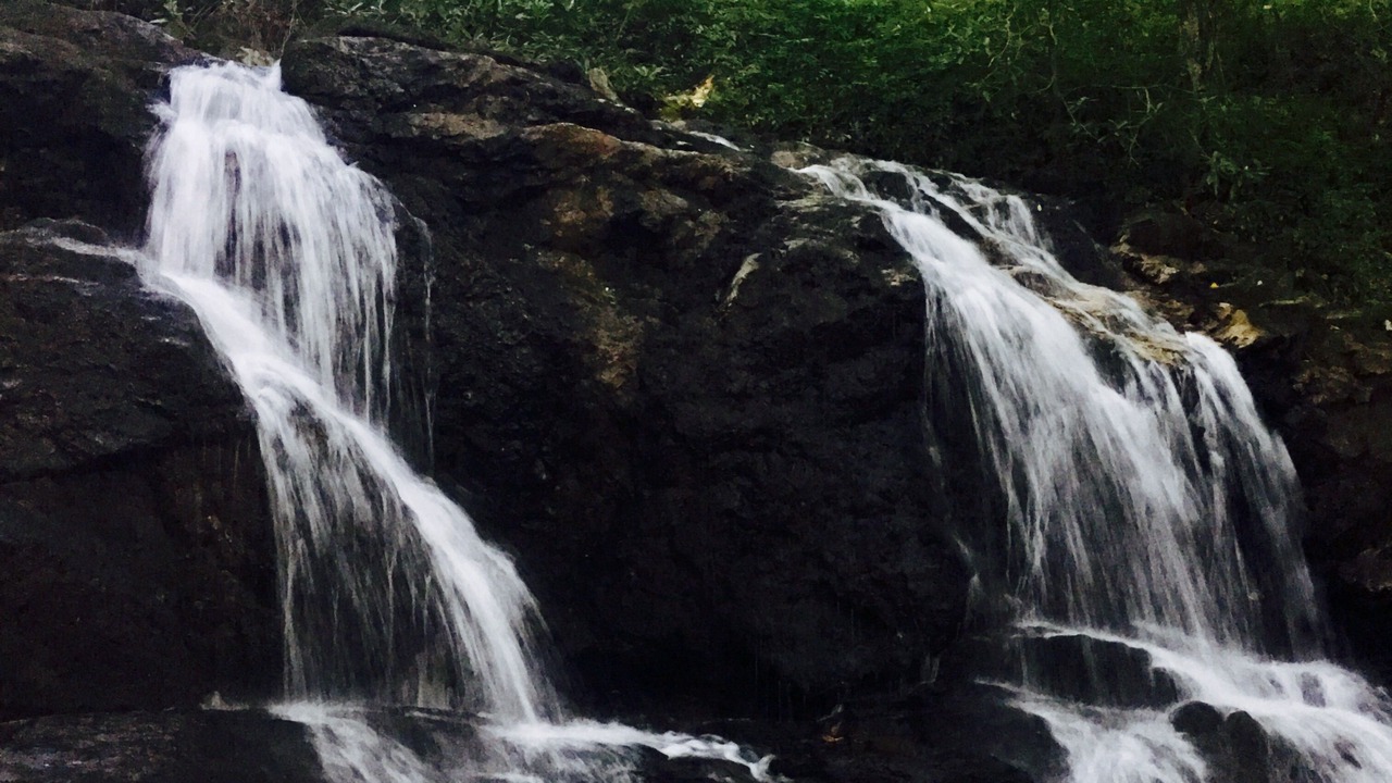 Photo of Outdoor in Spruce Pine