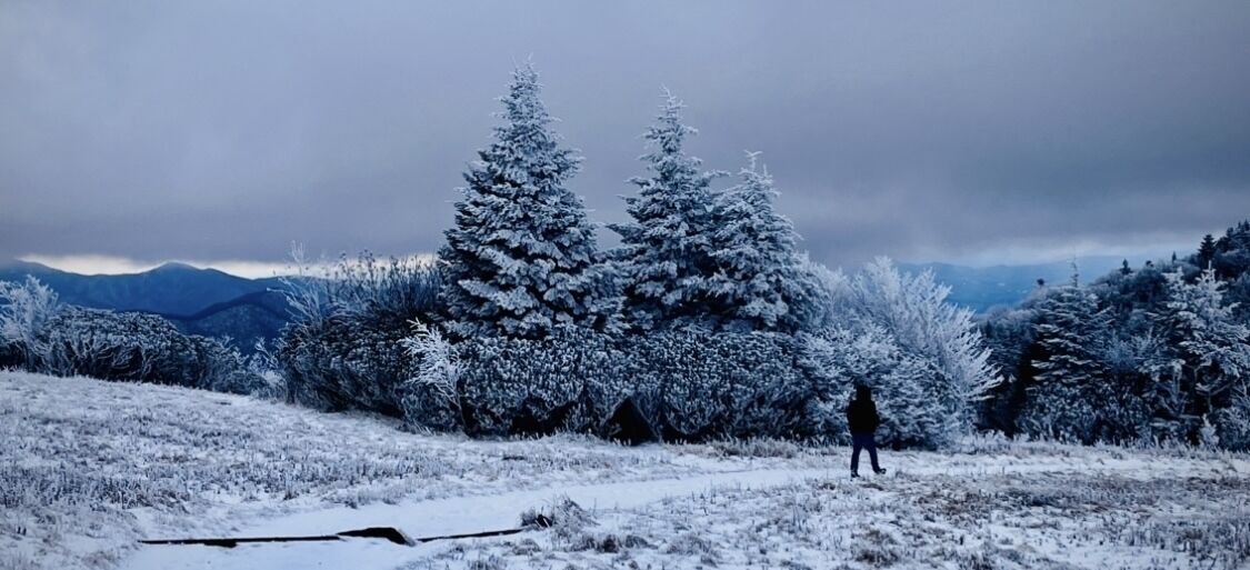 Photo of Others in Spruce Pine