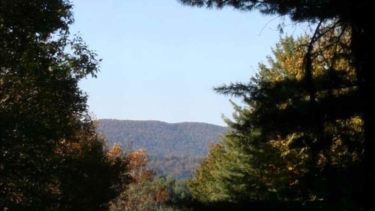 Photo of Outdoor in Penrose