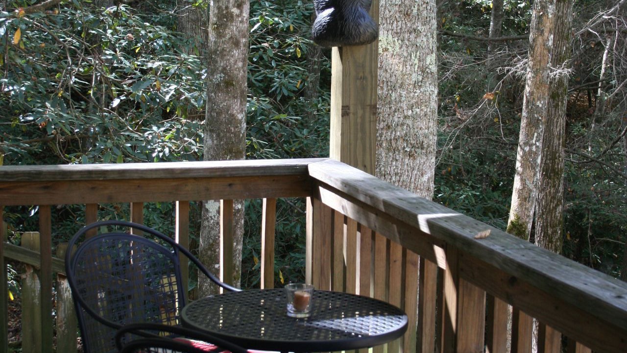 Photo of Outdoor in Penrose