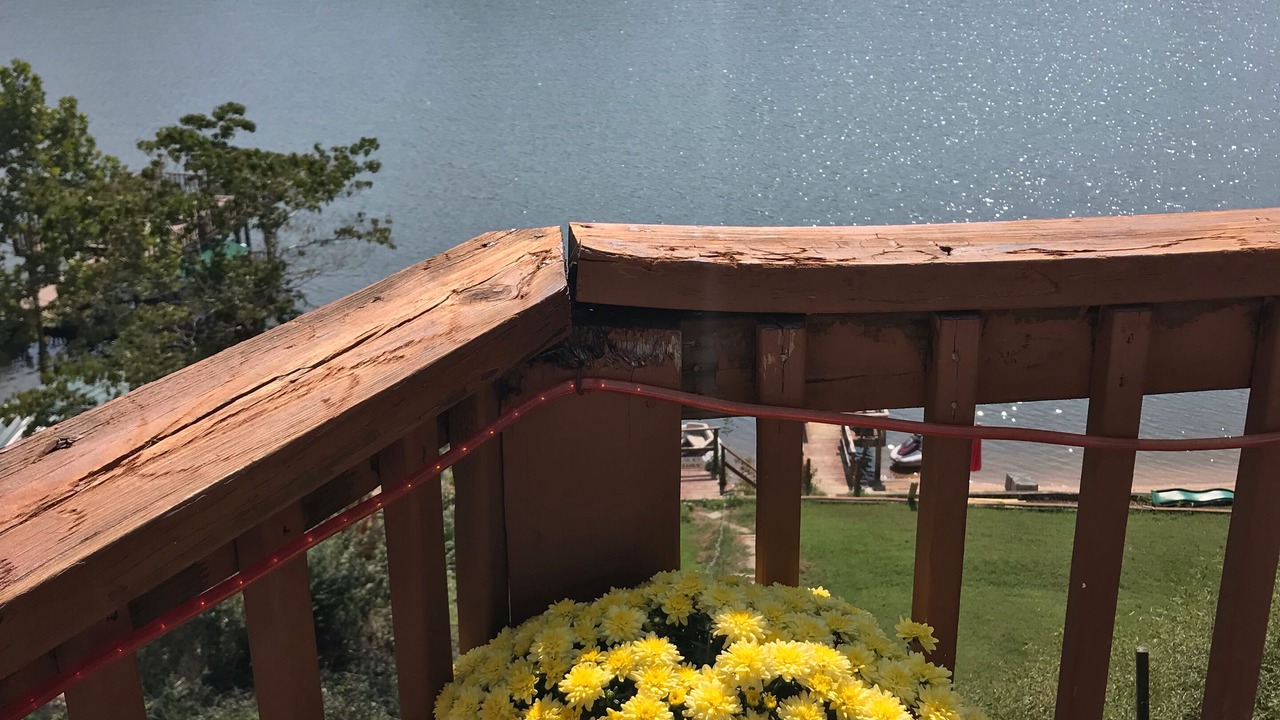 Photo of Outdoor in Northlakes