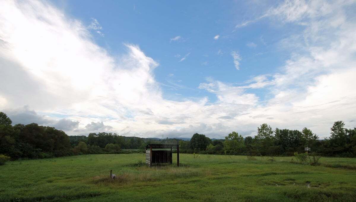 Photo of Others in Pisgah Forest
