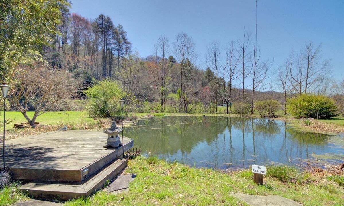 Photo of Others in Pisgah Forest