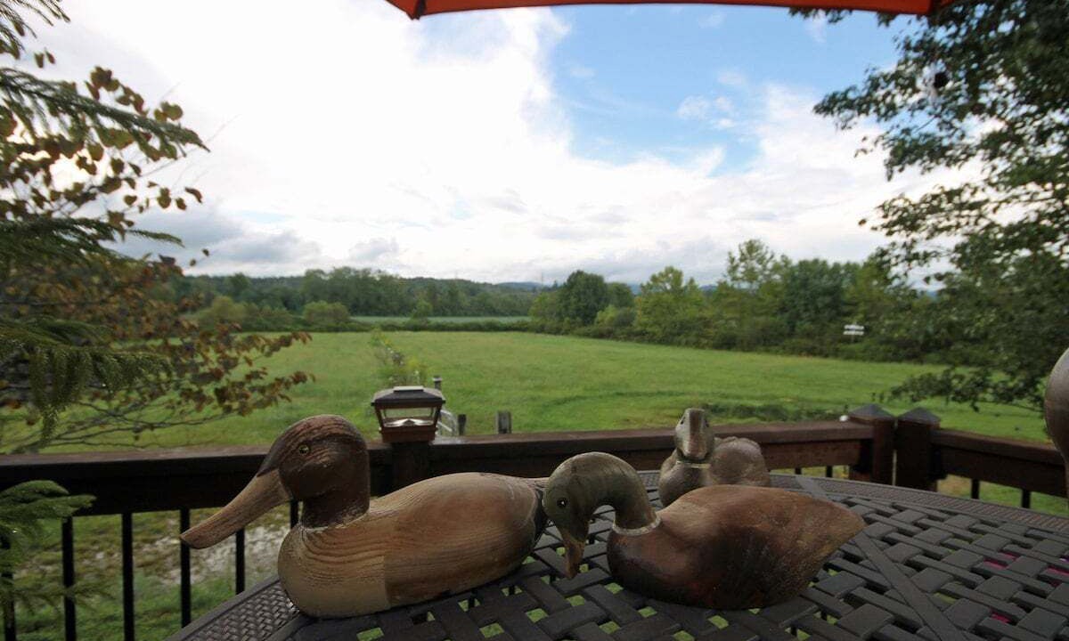 Photo of Outdoor in Pisgah Forest