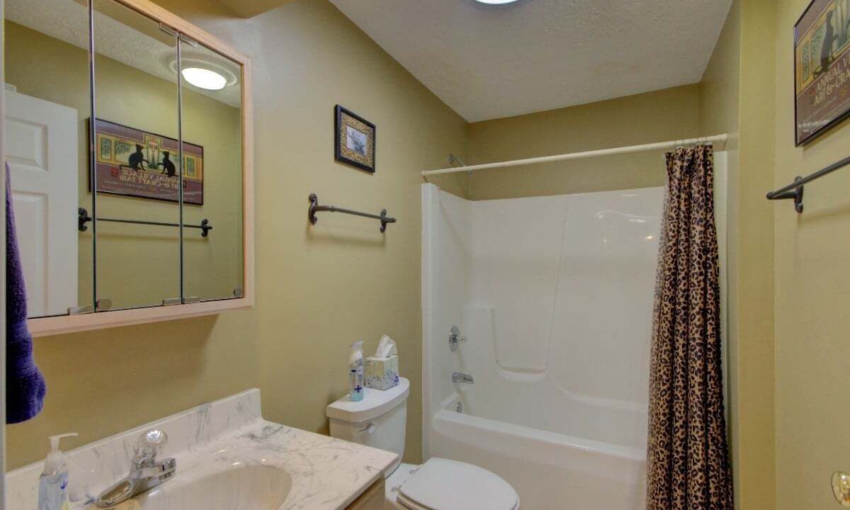 Photo of Bathroom in Pisgah Forest