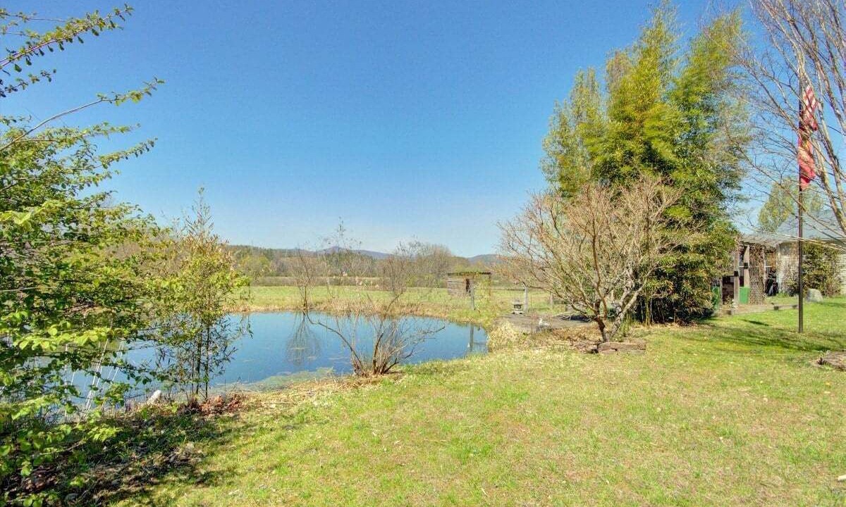Photo of Outdoor in Pisgah Forest