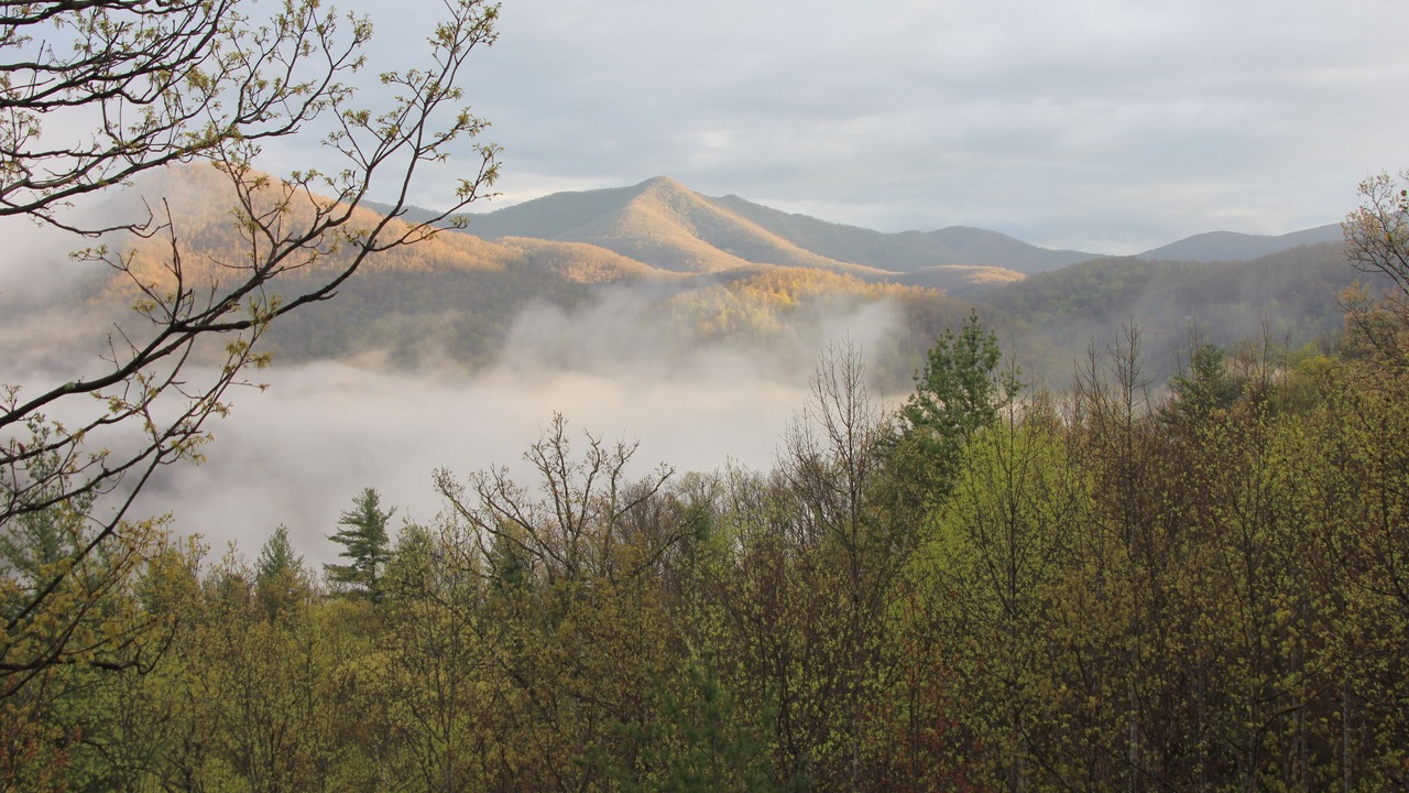 Photo of Others in Swannanoa