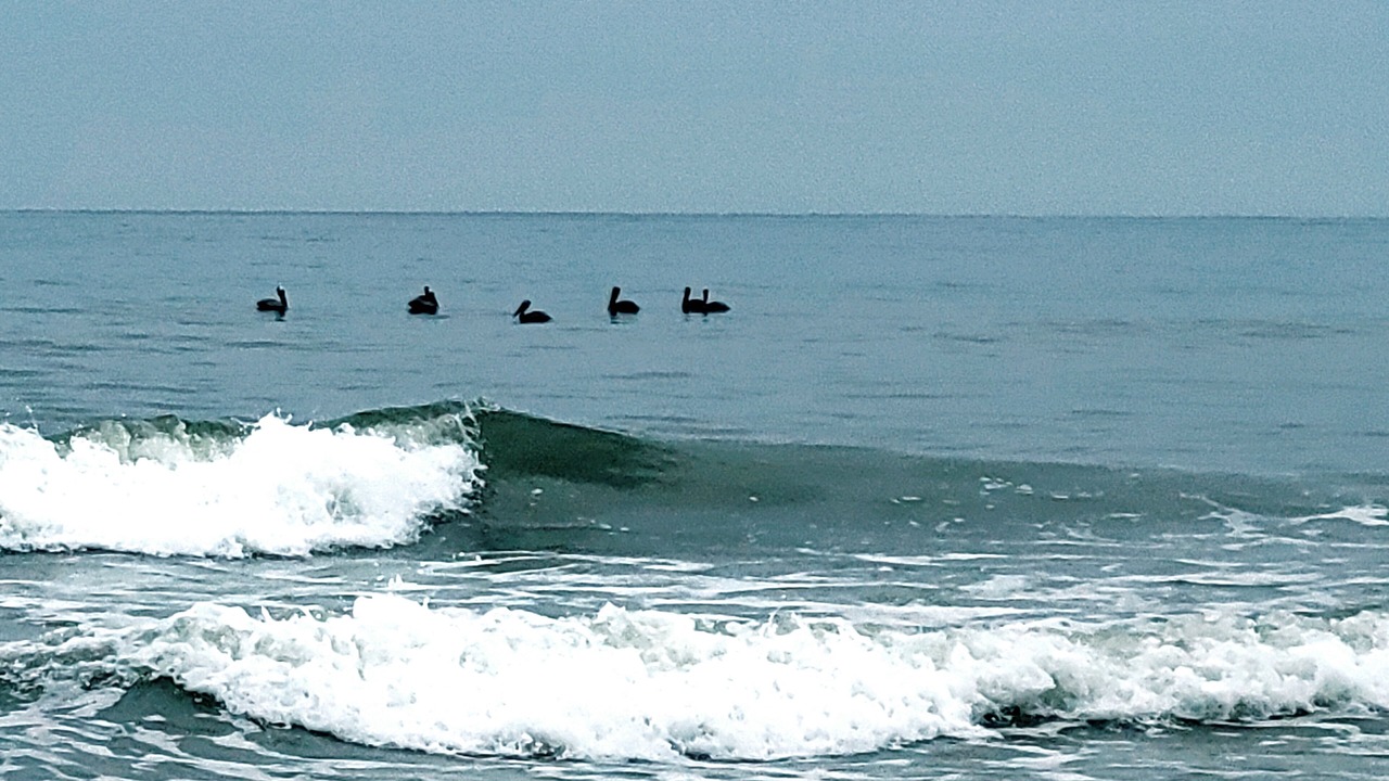Photo of Others in Ocean Isle Beach