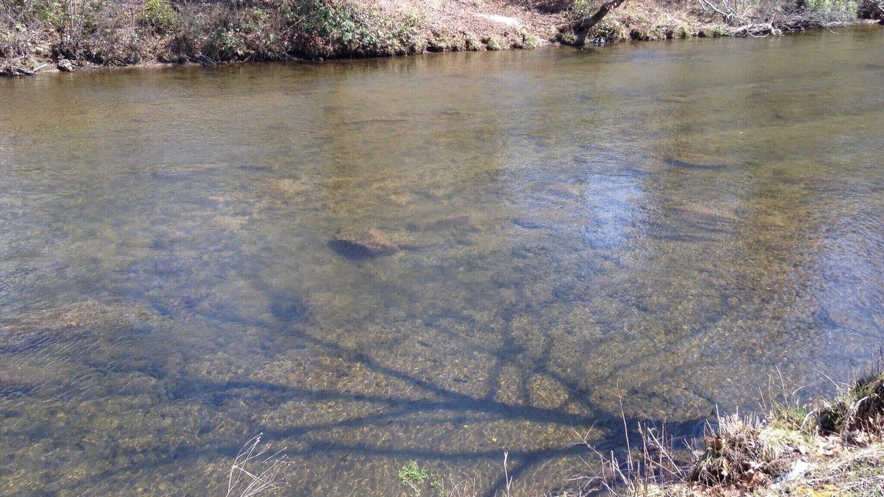 Photo of Others in Franklin