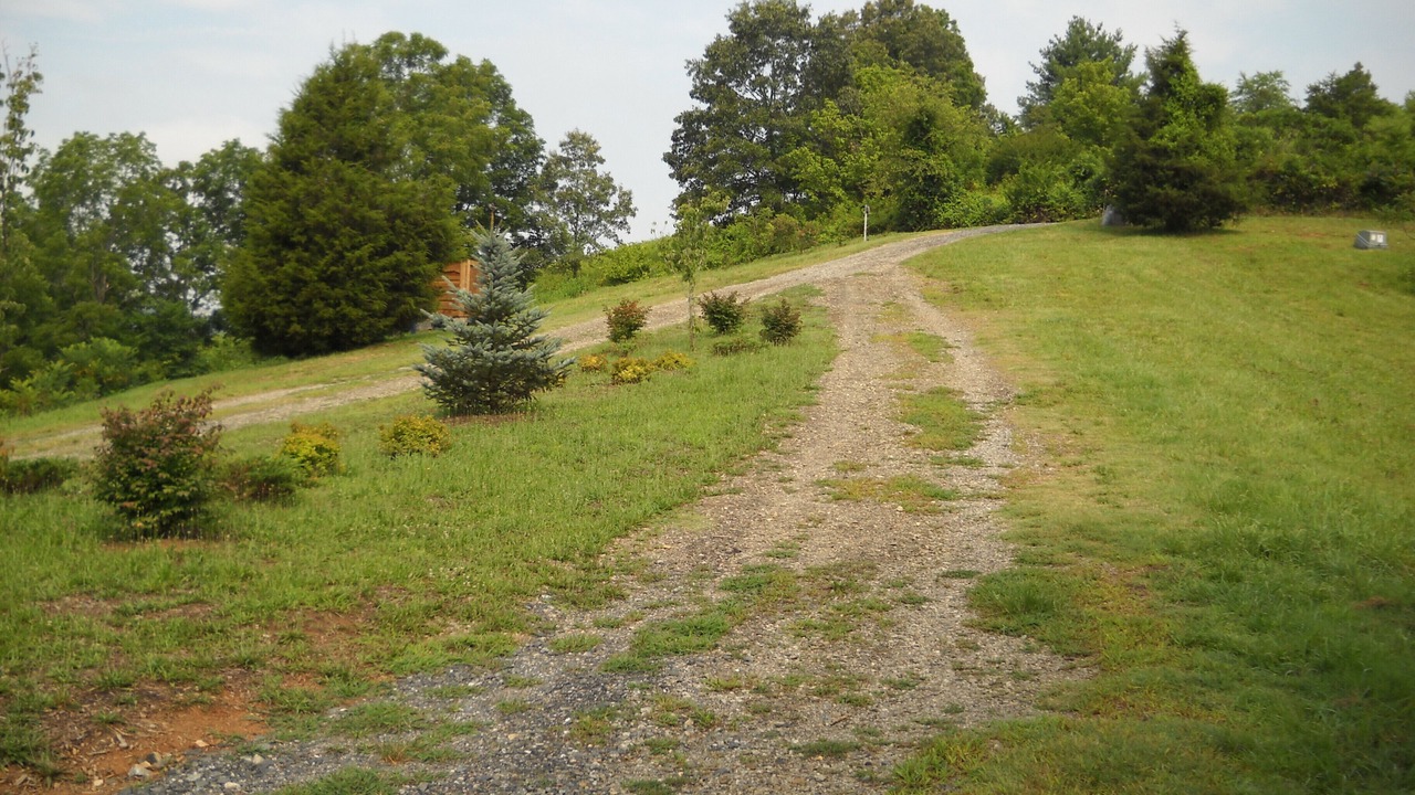 Photo of Others in Marshall