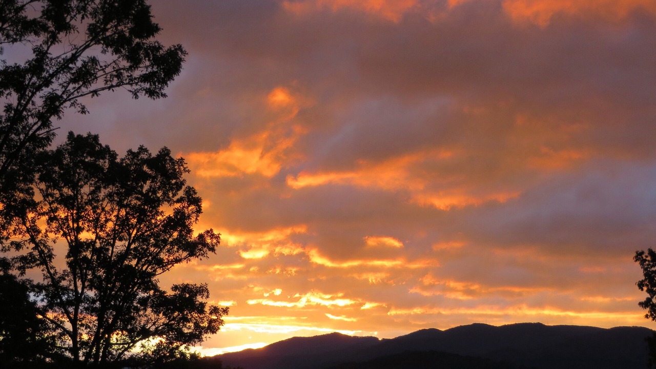 Photo of Outdoor in Asheville