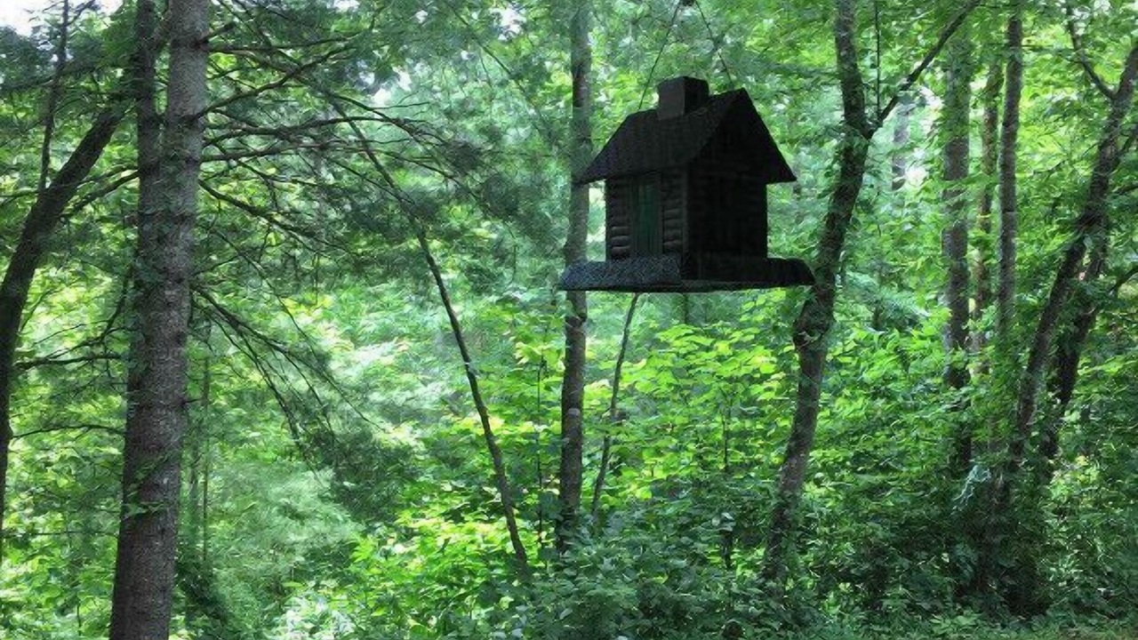 Photo of Outdoor in Leicester