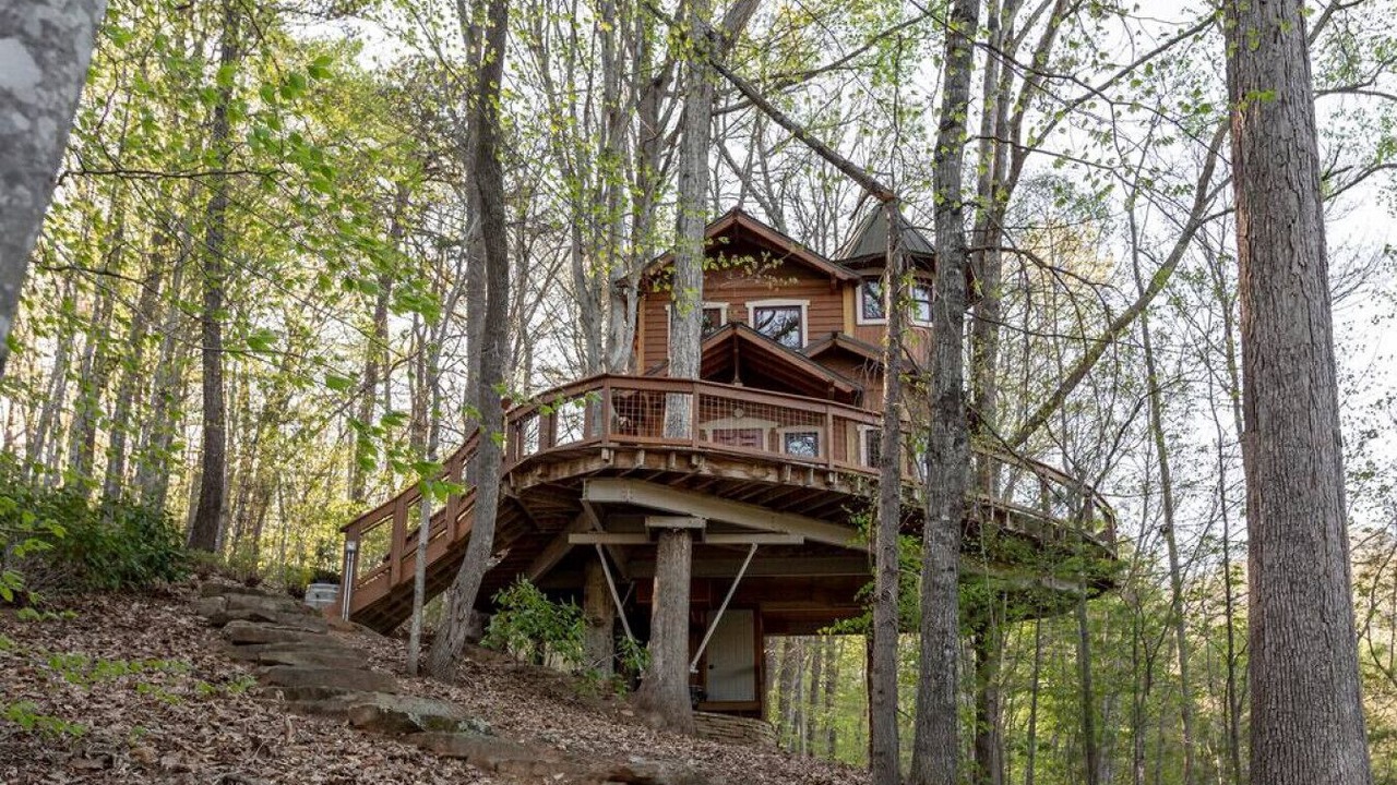 Photo of Outdoor in Weaverville