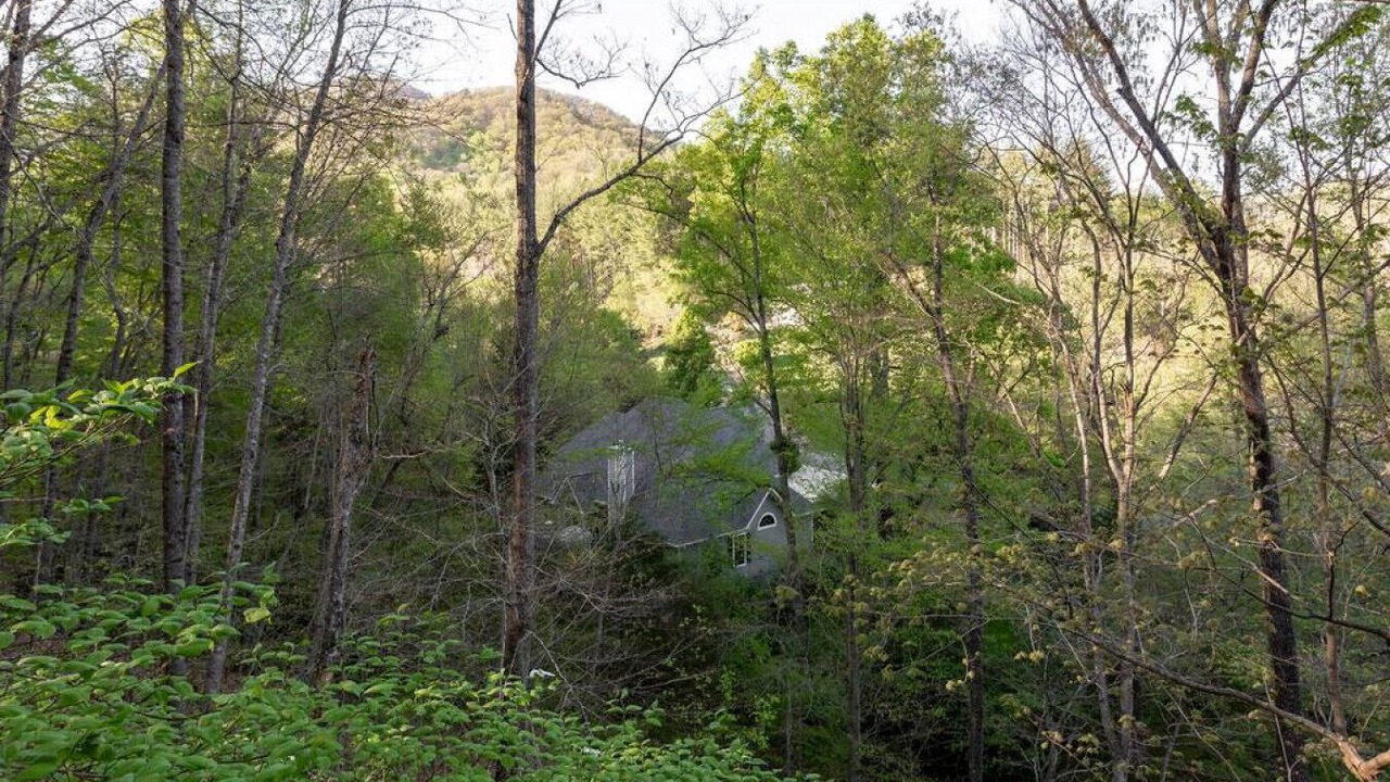 Photo of Others in Weaverville