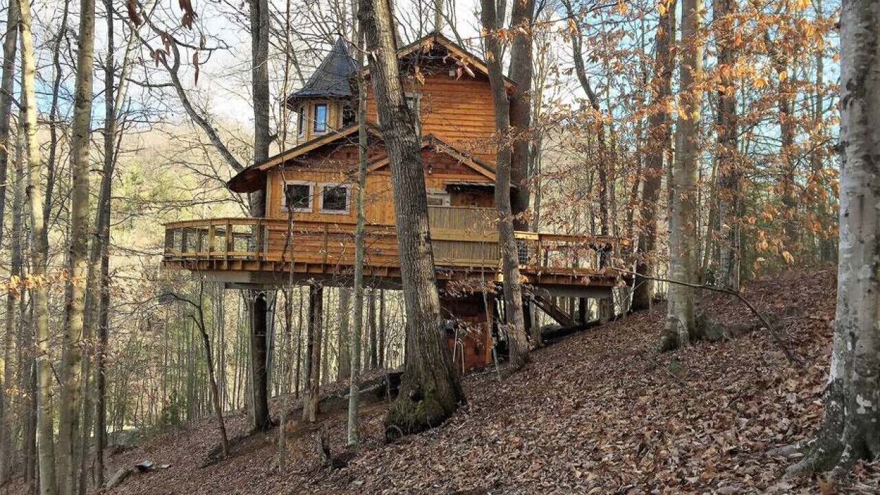 Photo of Outdoor in Weaverville