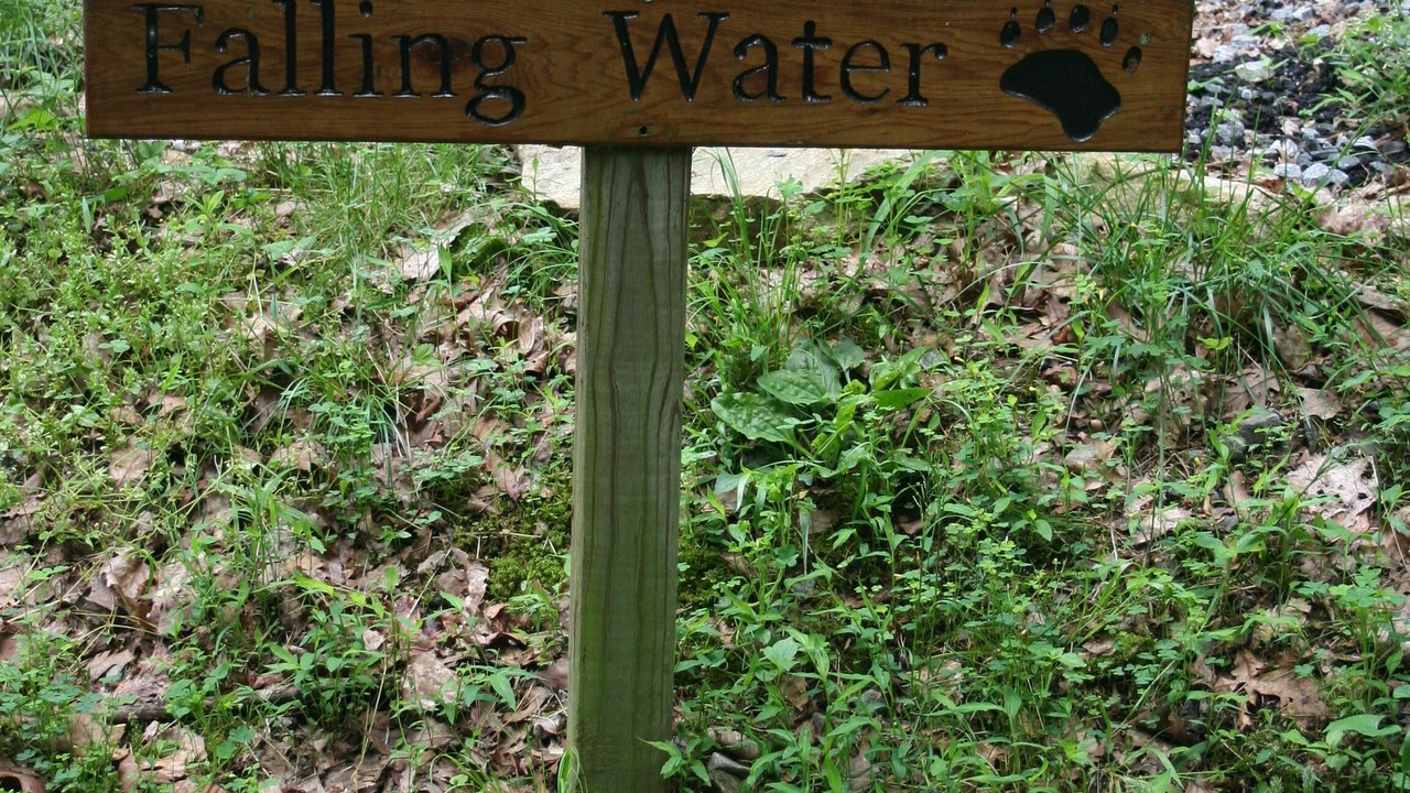 Photo of Outdoor in Penrose