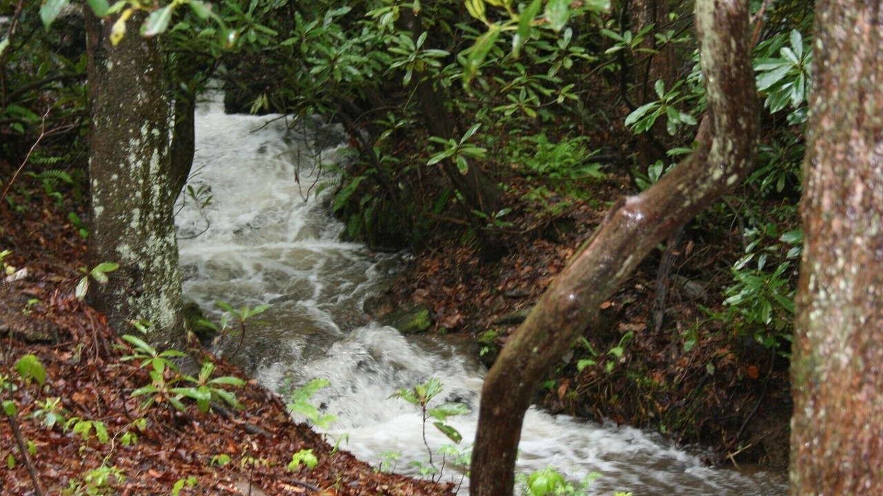 Photo of Outdoor in Penrose