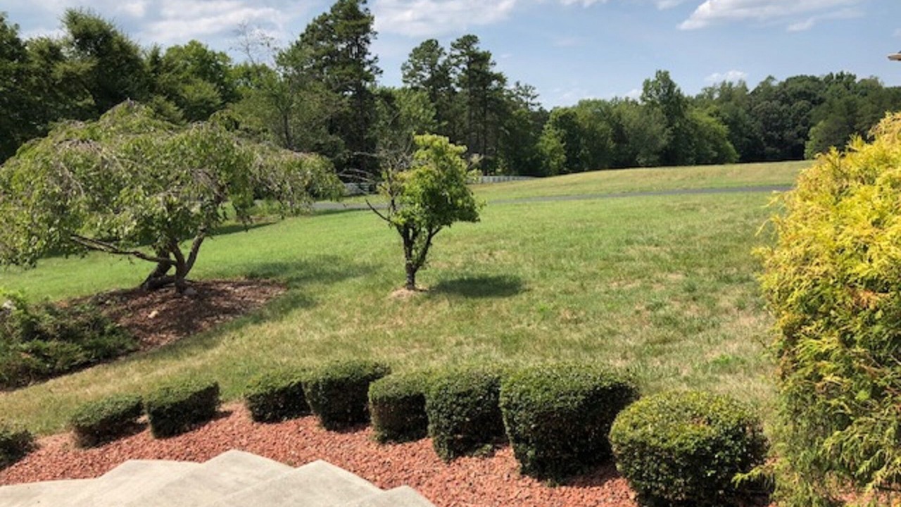 Photo of Outdoor in Whitsett