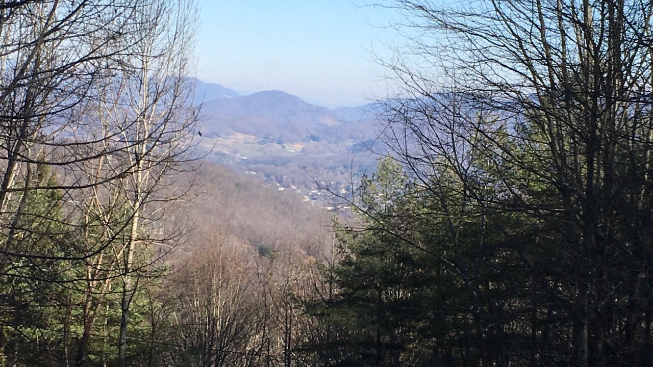 Photo of Others in Waynesville