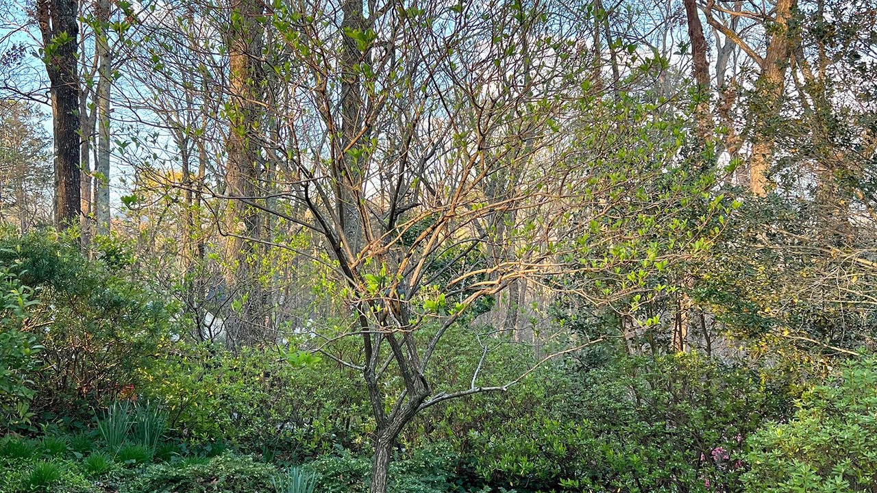 Photo of Outdoor in Lynn