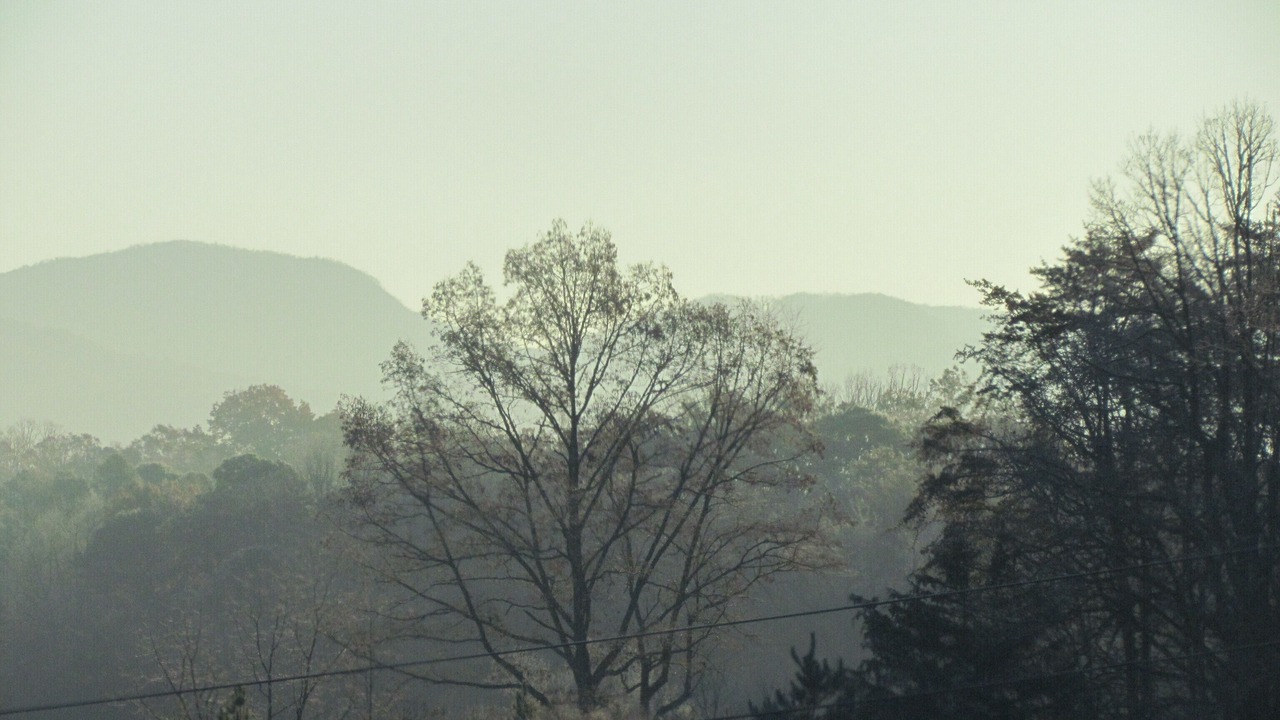 Photo of Others in Franklin