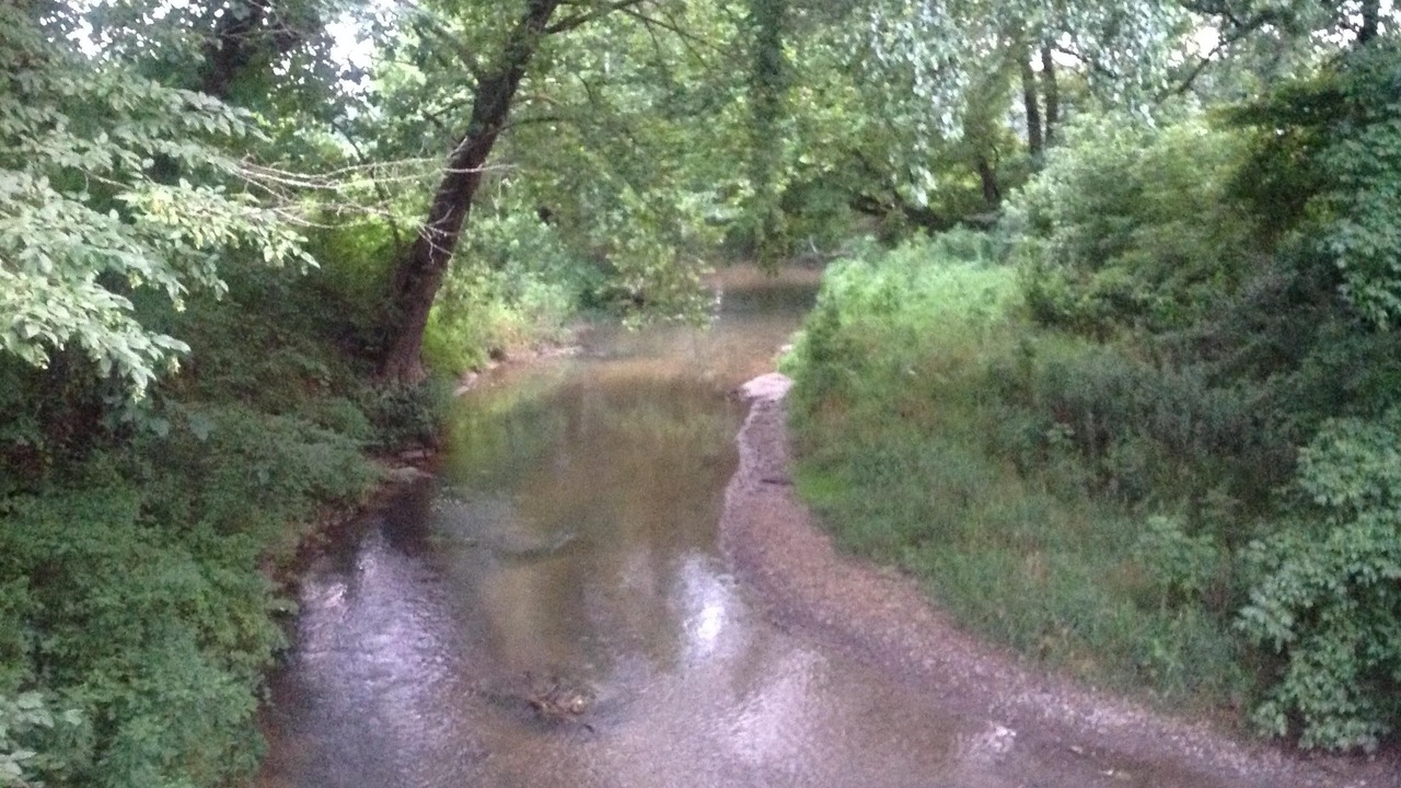 Photo of Others in Hendersonville