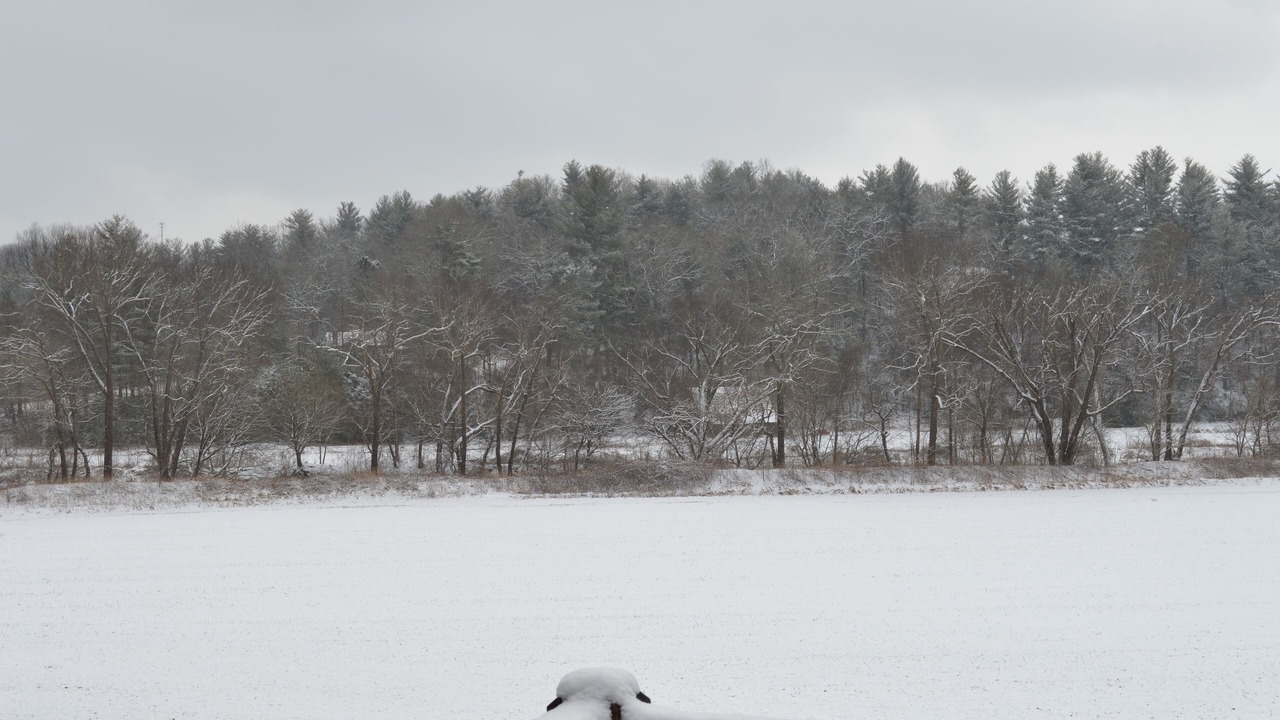 Photo of Others in Hendersonville