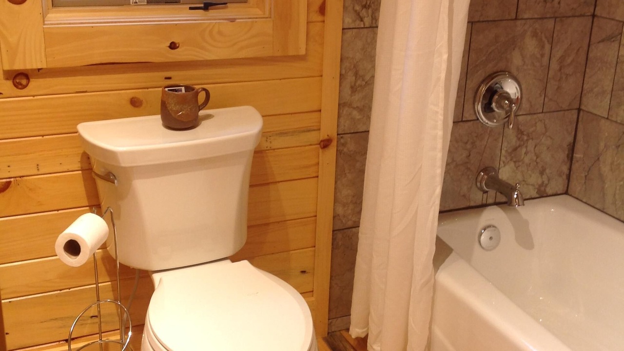 Photo of Bathroom in Hendersonville