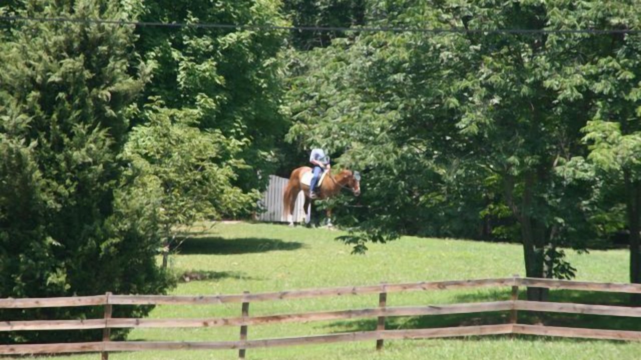 Photo of Others in Tryon