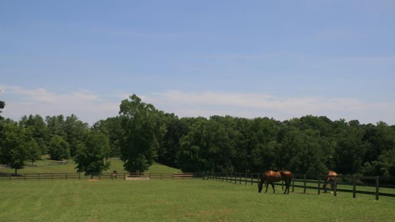 Photo of Others in Tryon