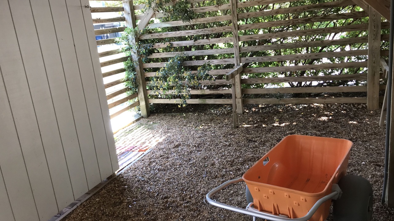 Photo of Outdoor in Duck