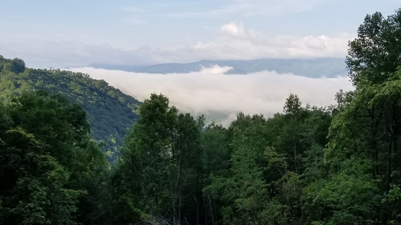 Photo of Others in Bryson City