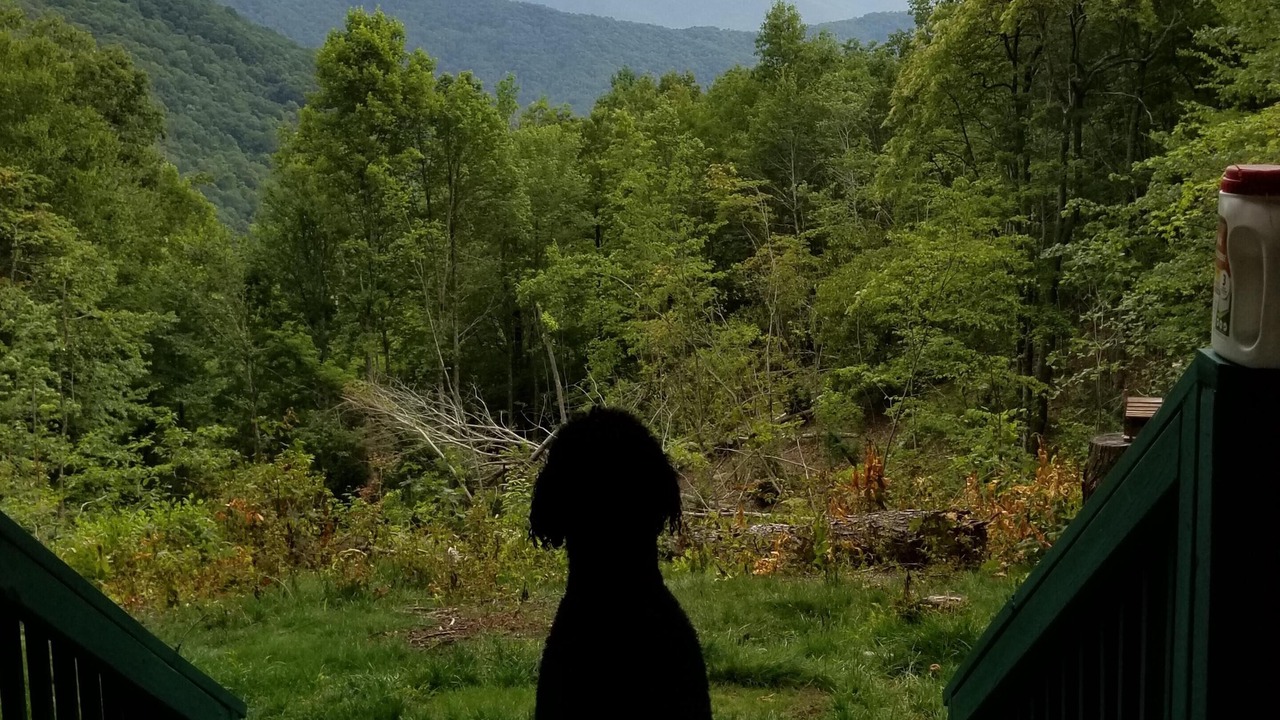 Photo of Outdoor in Bryson City