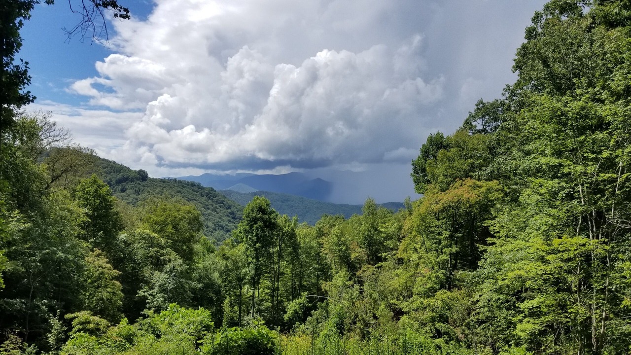 Photo of Others in Bryson City