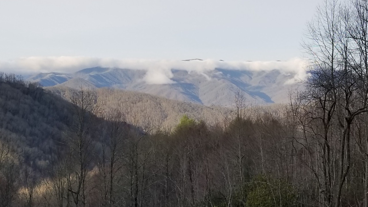 Photo of Others in Bryson City