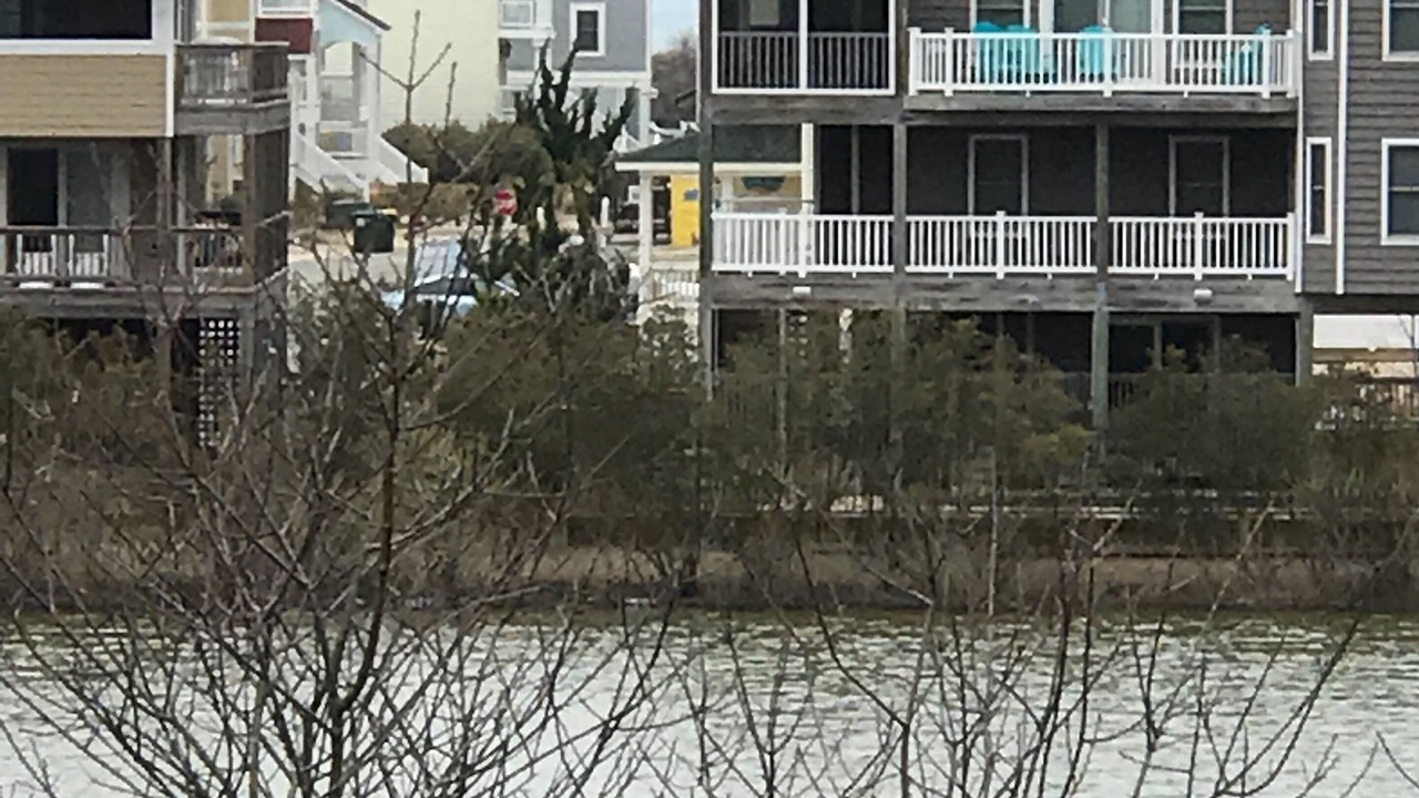 Photo of Outdoor in Ocean Sands